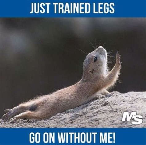 Go On Without Me Leg Day Funny Fitness Gym Memes