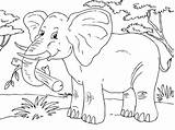 Elephant Coloring Elefant Pages Printable sketch template