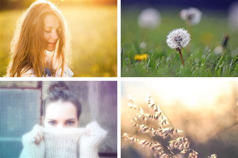 soft focus photography essential guide