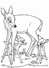 Bambi Pages Coloring Disney Faline Mother Family Legs Under Play Books Choose Board Drawings Mom Horse sketch template