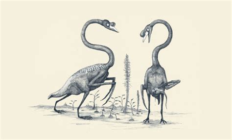 if swans were drawn like dinosaurs