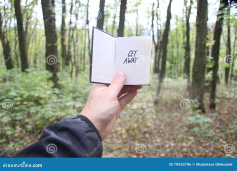 book  text stock photo image   holding
