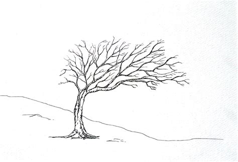 trees drawing google search trees pinterest trees friends