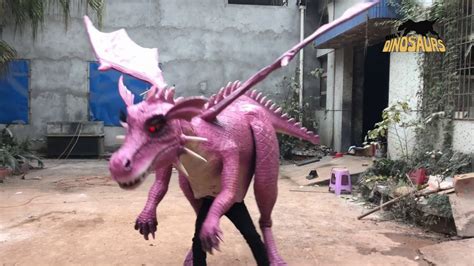 Cartoon Dragon Costume For Adult Youtube