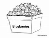 Blueberries Coloring Pages Colormegood Fruit sketch template