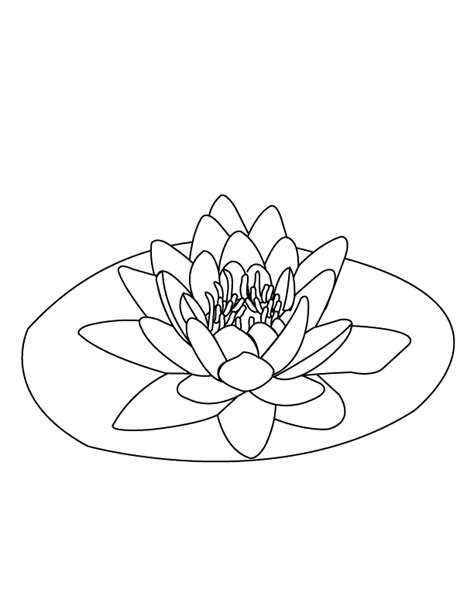 coloring pages water lily