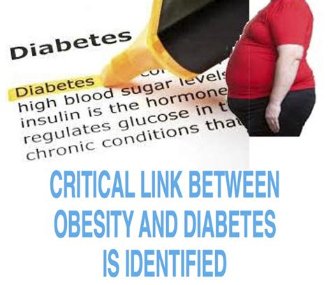 critical link between obesity and diabetes is identified