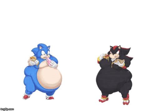image tagged  fat sonicfat shadow imgflip
