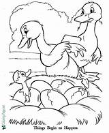 Coloring Duckling Ugly Pages Printable Below Click sketch template