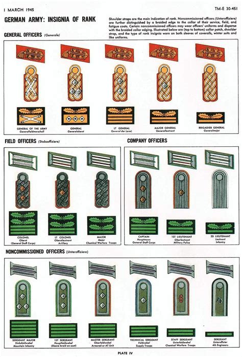 wwii german rank insignia images   finder