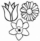 Coloring Flowers Spring Flower Pages Color Kids Drawing Wild Small Pretty Printable Drawings Print Types Getcolorings Getdrawings Draw Astounding Online sketch template