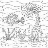 Algae Fish sketch template