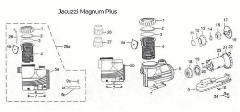 jacuzzi magnum  pool pump parts parts  jacuzzi magnum    swim
