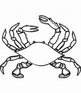 Crabe Toupty Navigateur Fonctionnent Dessus Servir Boutons Peux Coloriageaimprimer sketch template