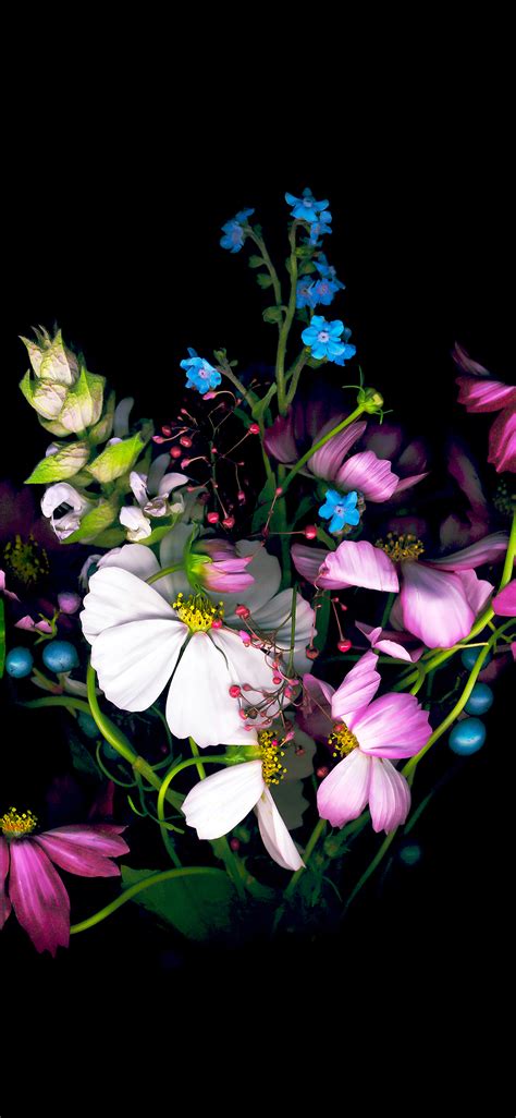 ad wallpaper apple ios iphone dark flower papersco