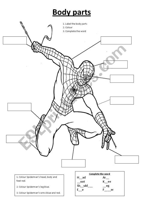 printable spiderman colouring pages  activity sheets