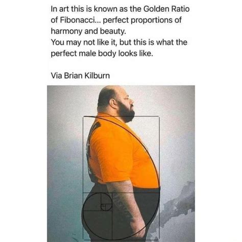 art      golden ratio  fibonacci perfect