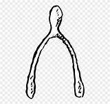 Wishbone sketch template