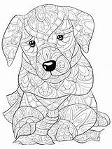 Dog Leuk Activiteit Kleurende Volwassen Ontspannen Stijlillustratie Cute Relaxing sketch template
