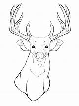 Coloring Deer Pages Head Printable Mule Buck Animal Silhouette Drawing Whitetail Antler Outline Adult Print Skull Kids Color Clip Mount sketch template