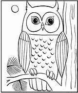 Coloring Owl Horned Great Pages Tree Printable Kids Finished Getcolorings Template Dari Disimpan sketch template