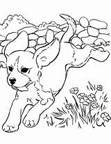 Coloring Pages Dogs Realistic Dog Kids Print Animal Puppy Them Online Sheets Visit Printable sketch template