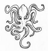 Octopus Drawing Outline Kraken Tattoo Squid Drawings Realistic Simple Tattoos Sketch Line Draw Painting Flash Illustration Sleeve Clip Getdrawings Falcon sketch template