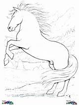 Horse Coloring Mustang Pages Realistic Printable Wild Getcolorings Getdrawings Colorings sketch template
