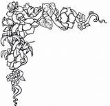 Border Flower Borders Clipart Line Pretty Library sketch template