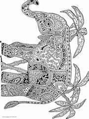 animal coloring pages  adults difficult animal coloring