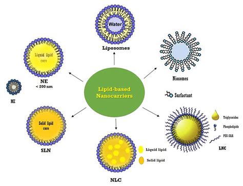 schematic diagram illustrating   types  lipid based nano