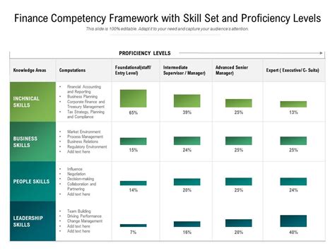 finance competency framework  skill set  proficiency levels  graphics