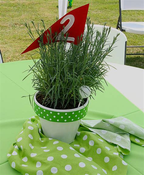 golf  fun view golf party table decorations background