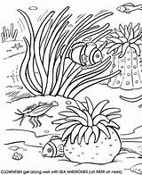 Coloring Coral Reef Pages Sea Drawing Kids Book Doverpublications Colouring Ocean sketch template