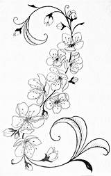 Tattoo Flower Tattoos Blossom Cherry Flowers Body Back Tatoos Scratch Henna Future Skin Awesome Hand Beautiful Drawing sketch template