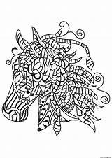 Pferd Malvorlage Cavallo Disegno Cheval Galot Adulte sketch template