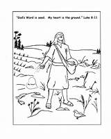 Luke Coloring Sheet 18 Parable Sunday School Seed Lesson Good sketch template