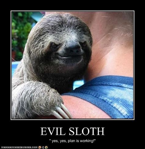 Evil Sloth Cheezburger Funny Memes Funny Pictures