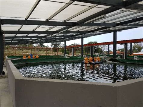 fishpond fish pond fish ponds pound steel fishpond steel structure