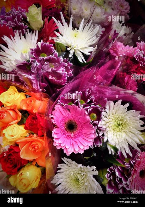 flowers supermarket stock  flowers supermarket stock images alamy