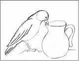 Crow Pitcher Drawing Step Spot Eye Samanthasbell sketch template