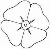 Poppy Template Flower Remembrance Coloring Printable Poppies Colouring Anzac Drawing Pages Kids Flowers Craft Outline Bigactivities Activities Learning Paper Shape sketch template