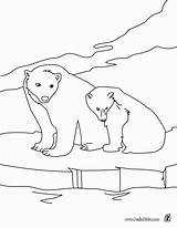 Coloring Pages Arctic Animals Printable Polar Bear Library Clipart sketch template