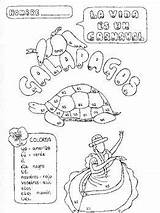 Conjugation Spanish Teacherspayteachers Coloring Students Color Will sketch template