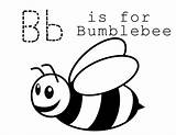 Bee Bumble Outline Clipart Honey Pages Coloring Library Kids Colouring sketch template