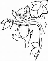 Climbing Coloring Pages Tree Clipart Cat Colouring Kids Animals Hang Cats Trees Kitty Sheets Clip Cliparts Tabby Patterns Animal Book sketch template