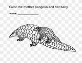 Pangolin Mammal Pngwing Carnivoran sketch template