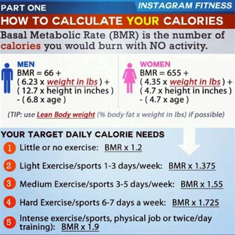 quick tip to calculate your calories bmr basal