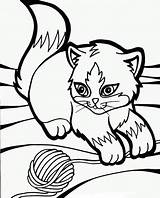 Gatto Colorare Gatti Disegnare Disegno sketch template