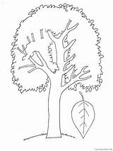 Tree Poplar Coloring4free 2021 Coloring Pages Nature Printable Related Posts sketch template